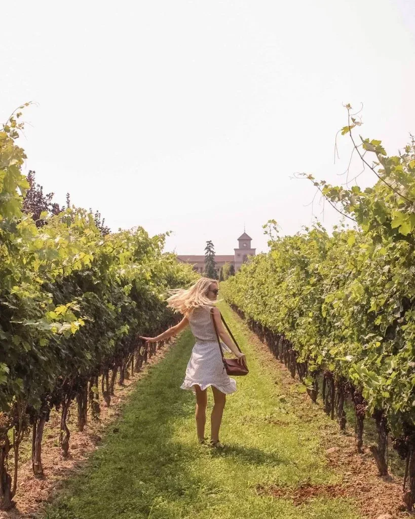 Woman in a wineyard