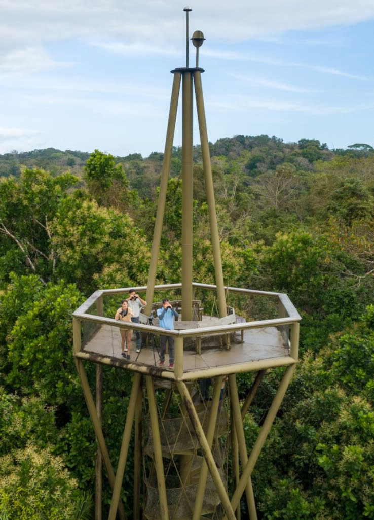 Copy of Copy of Gamboa Rainforest Reserve,Tower Birdwatching