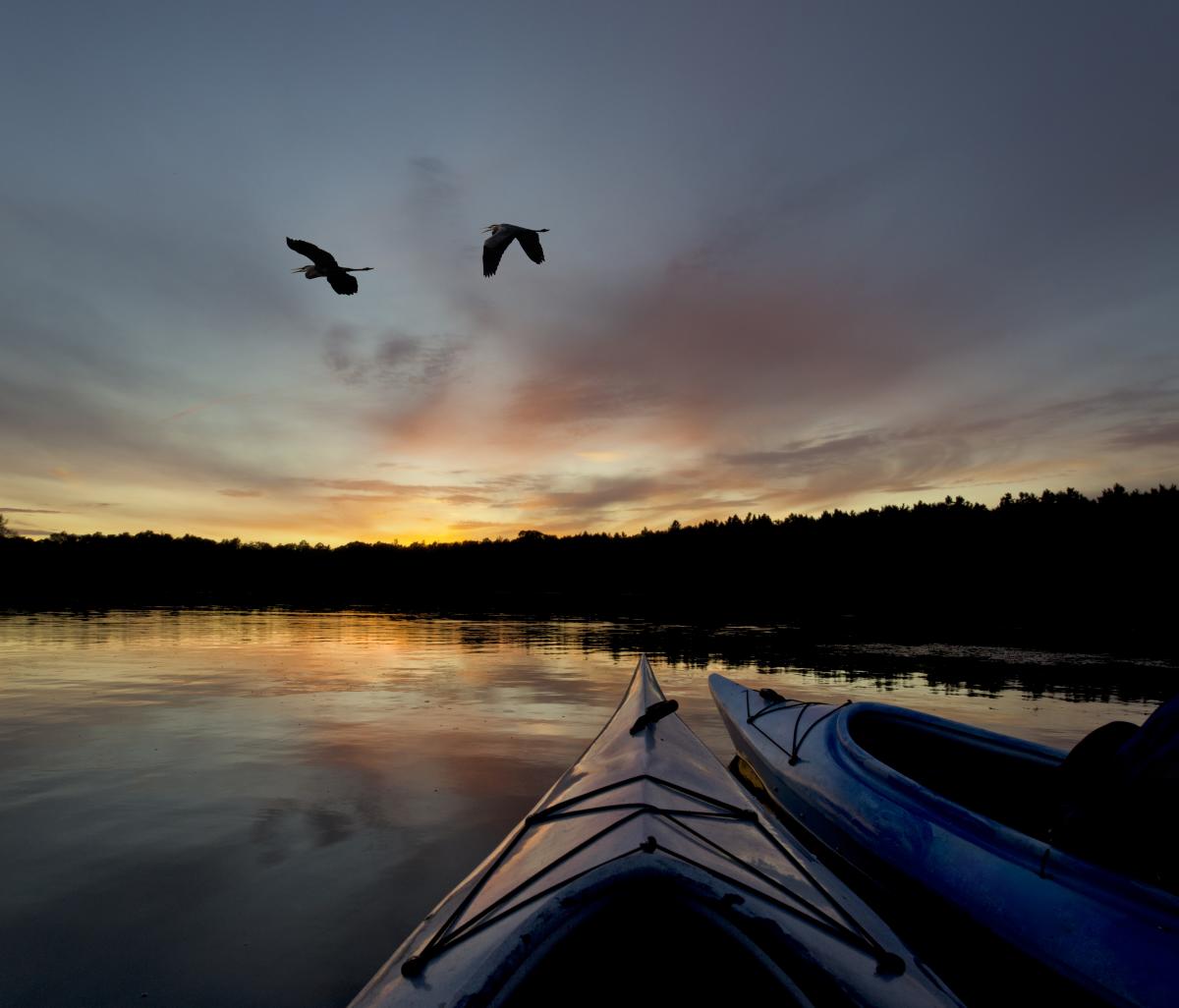 kayaking on the river with 2 birds flying overhead at sunset