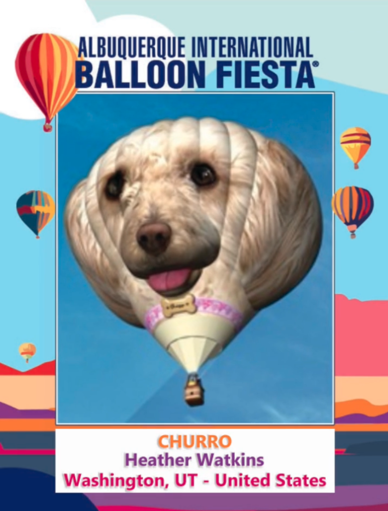 Churro, the special shape balloon