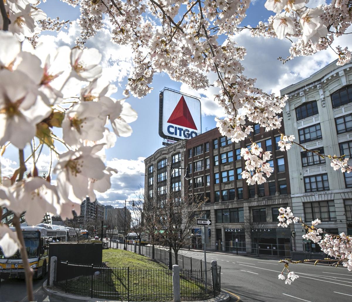 CITGO sign in Spring