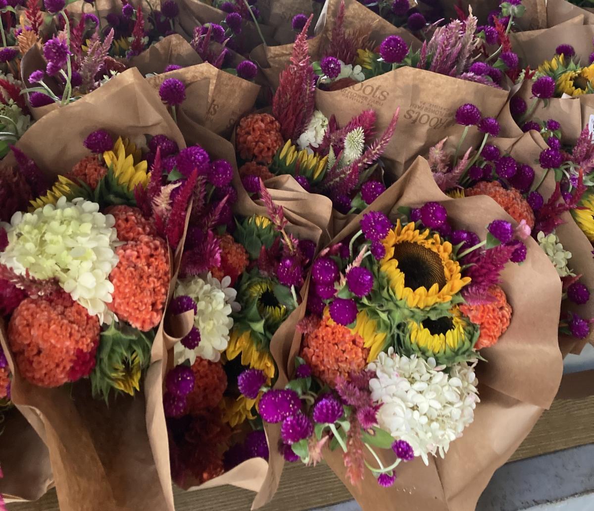 Roots Cut Flower Farm