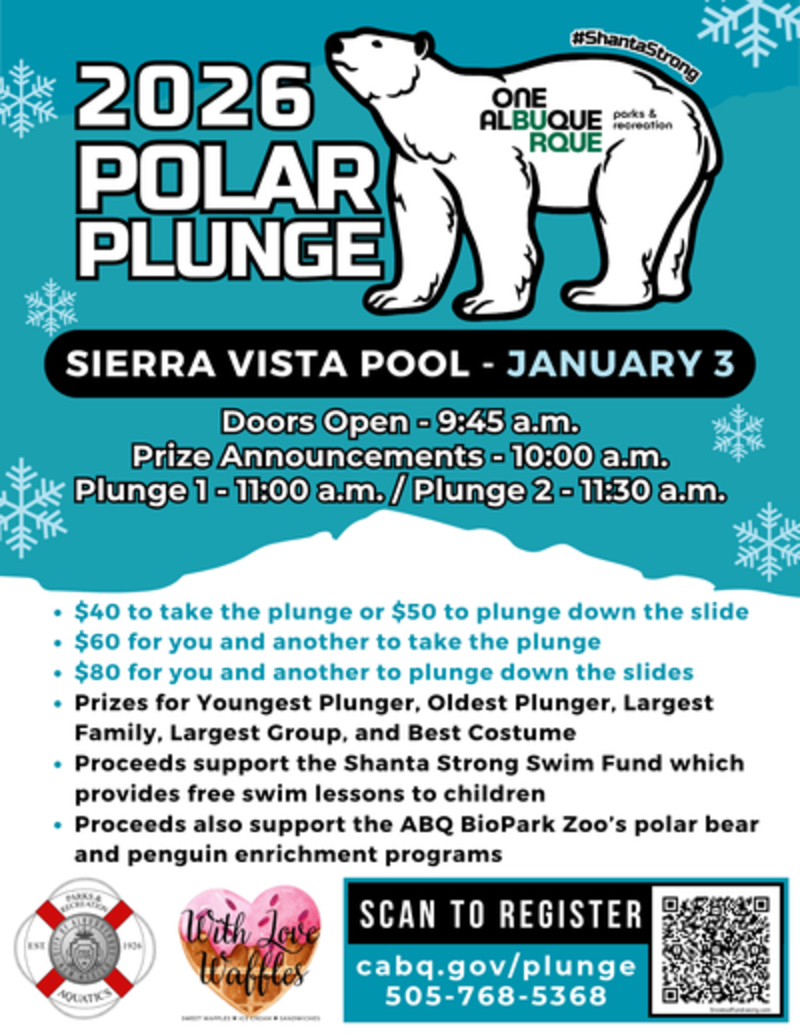 Graphic advertising the Polar Plunge.