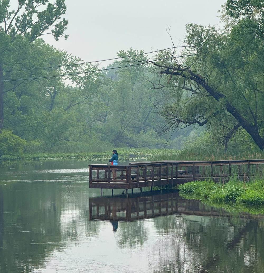 Man fishes off boardwalk over water, surrounded by trees and grassy area. Rainy, overcast weather in Manchester, MIchigan