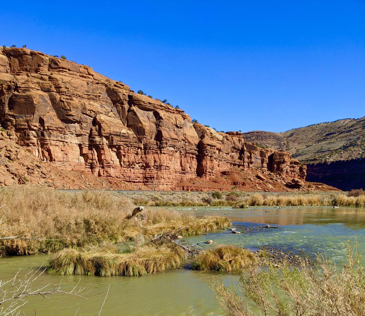 Gunnison River flowing through a red rock canyon along the Big Dominguez Canyon Trail in Dominguez-Escalante National Conservation Area.