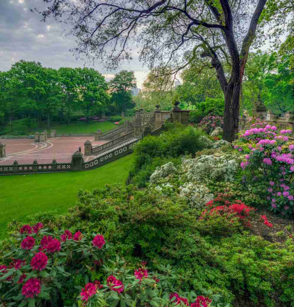 Spring flowers and greenery surrounding Bethesda Terrace in Central Park, New York City.
