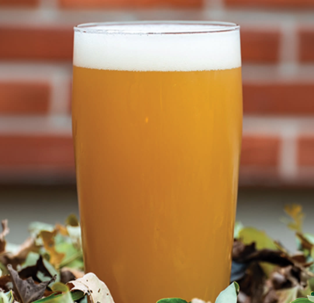 After Two hazy IPA at Zorn Brew Works