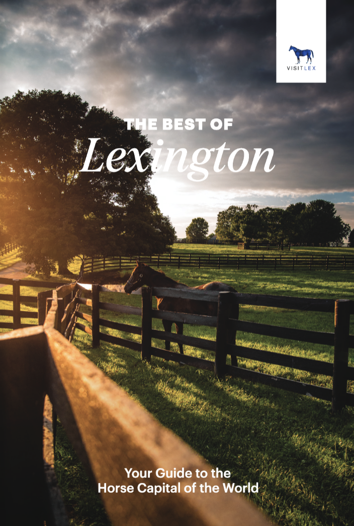 Meeting Attendee Guide