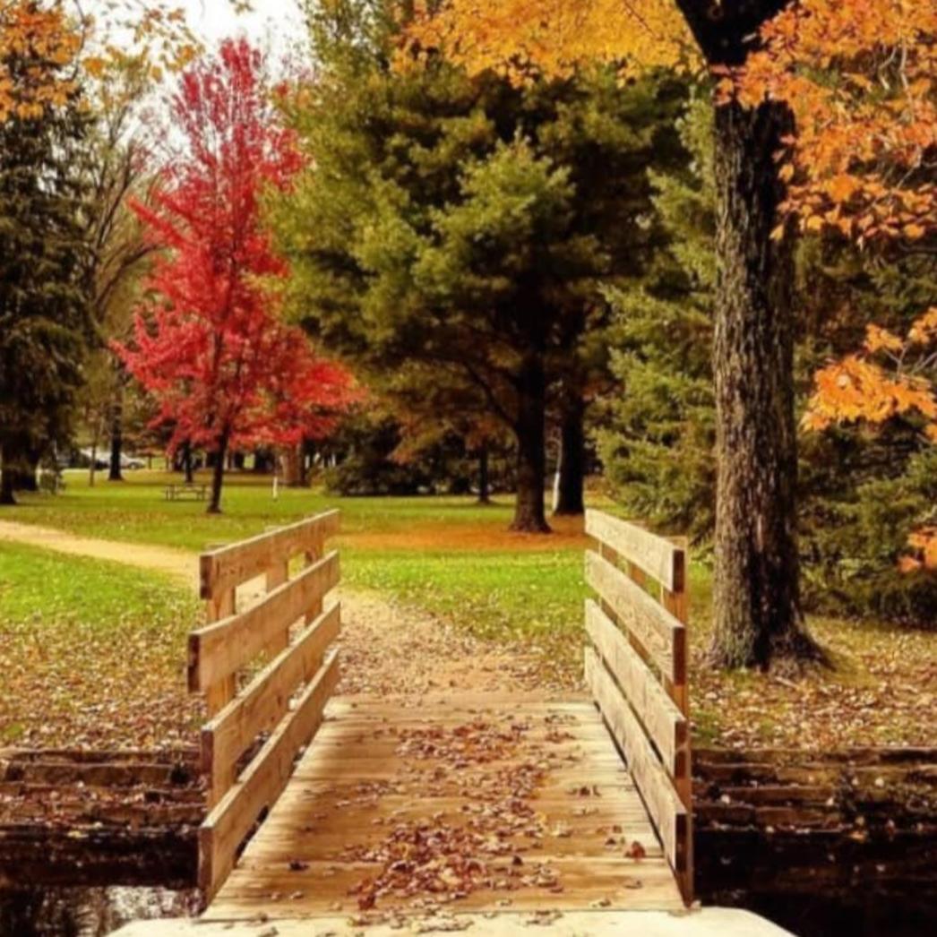 Pretty fall foliage with a trail and bridge centered in frame.