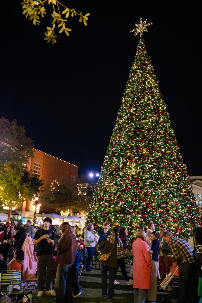 A 70-foot Christmas tree stands in the center of Central Park at Market Street. The tree is lit with millions of golden lights and decked in ball ornaments of various sizes, all red, green, or silver. A gold, eight-point star sits on top. Local high schoolers and their families mingle as they wait for the Market Street Sing-Off to begin.