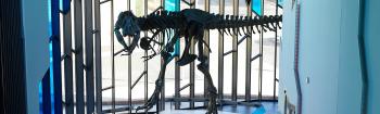 dinosaur-museum-at-prairiefire