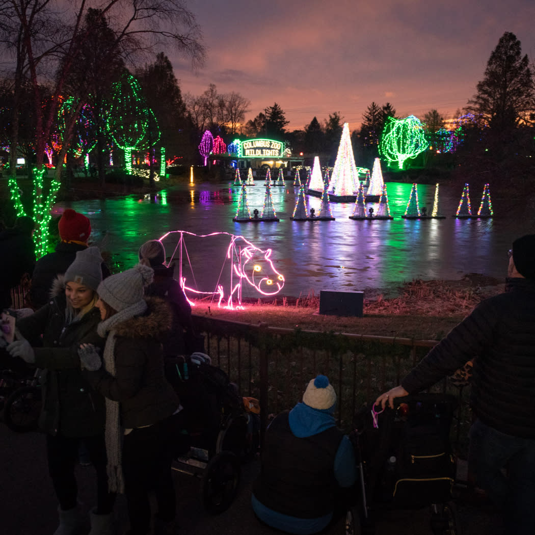 Visitors enjoying the holiday lights at Columbus Zoo and Aquarium's Wildlights event