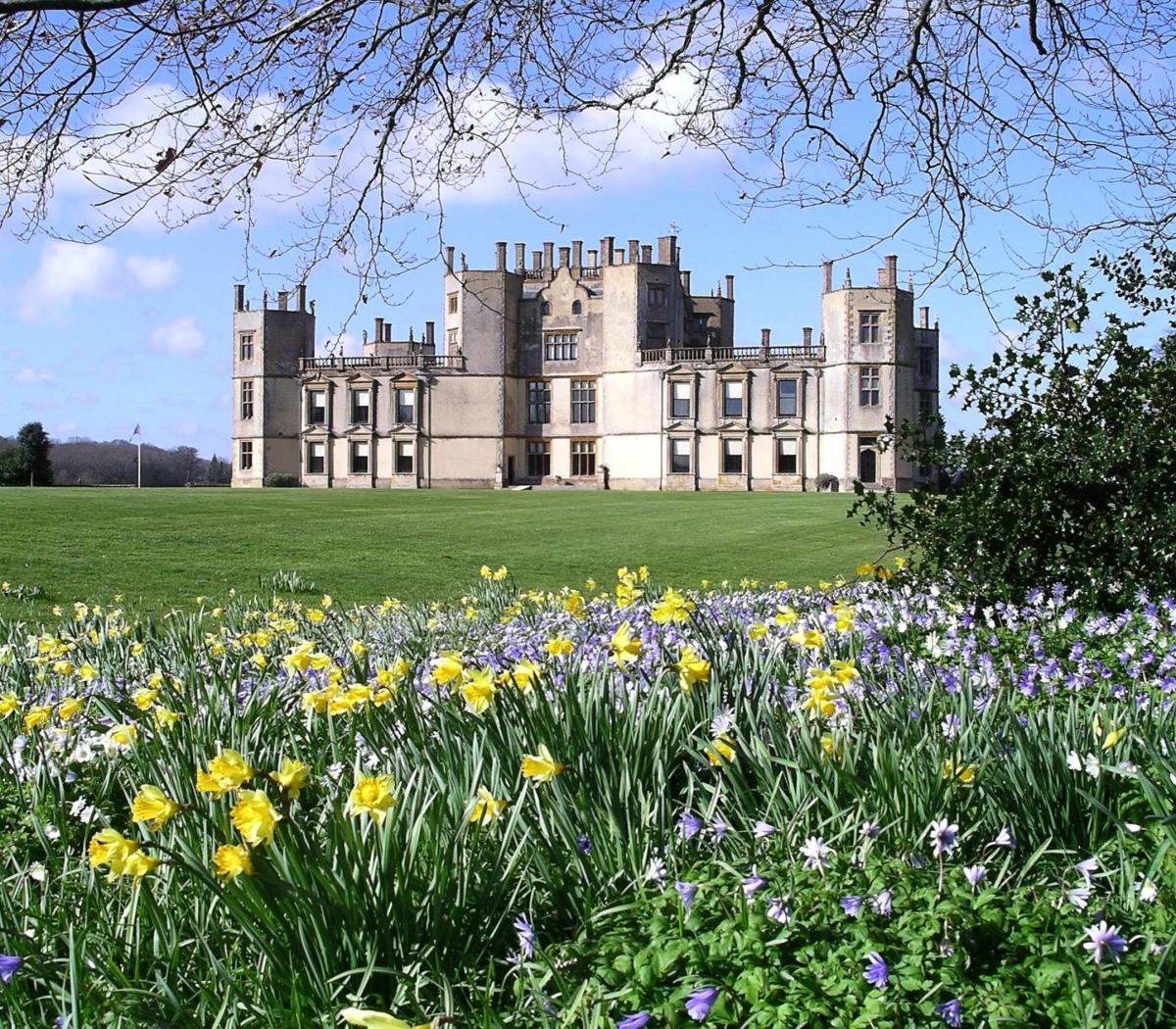 Spring flowers at Sherborne Castle and Gardens in Dorset
