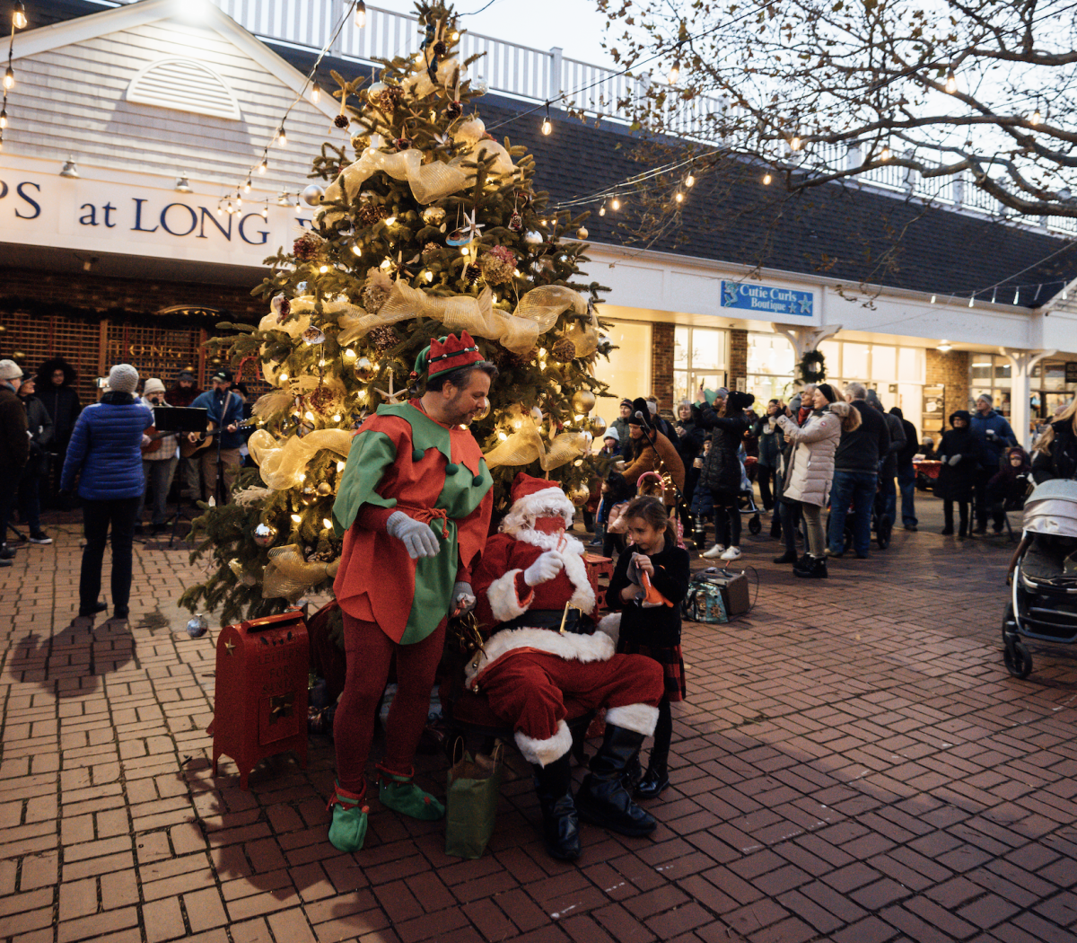 O Christmas Tree, O Christmas Tree? - Newport Beach News