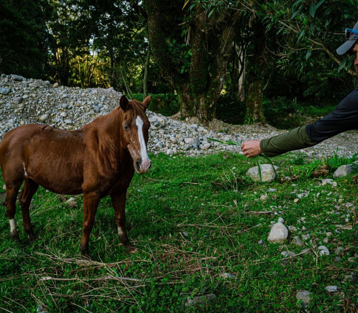 El Pianista Trail , Boquete