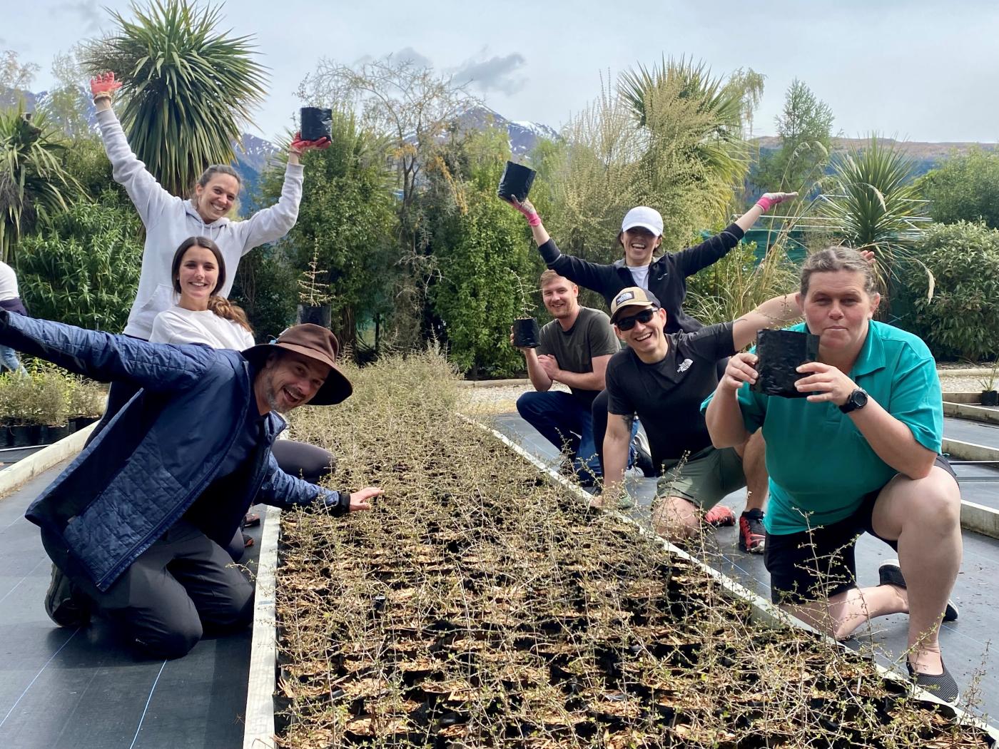 Hilton team volunteering at whakatipu reforestation trust