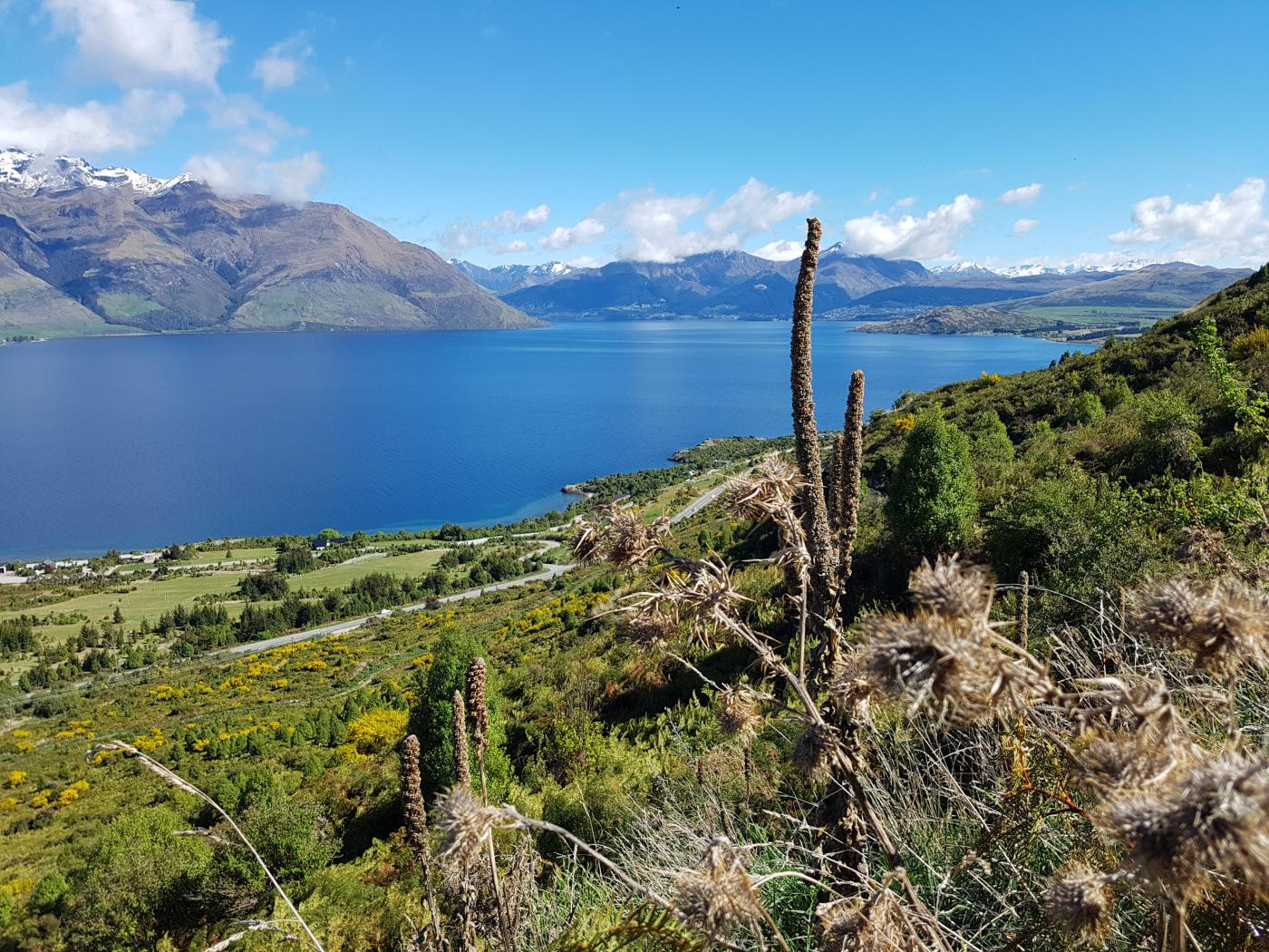 Looking back at Queenstown from Wye Creek