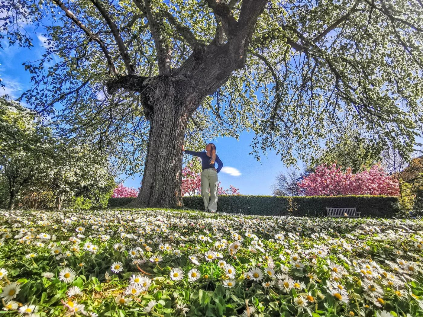 Person standing next to tree