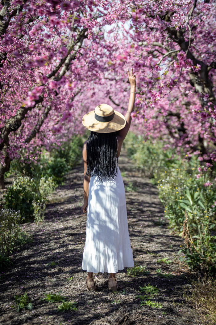 Fresno County Blossom Trail Attractions and Stops