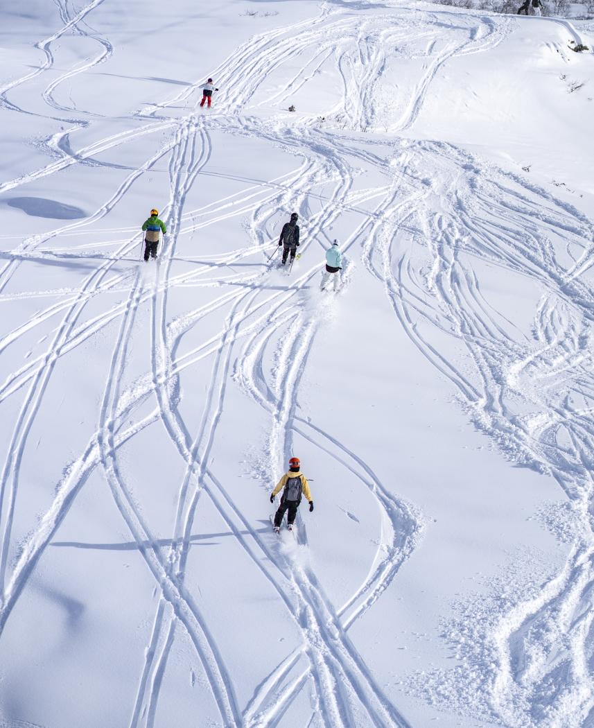 Sirdal