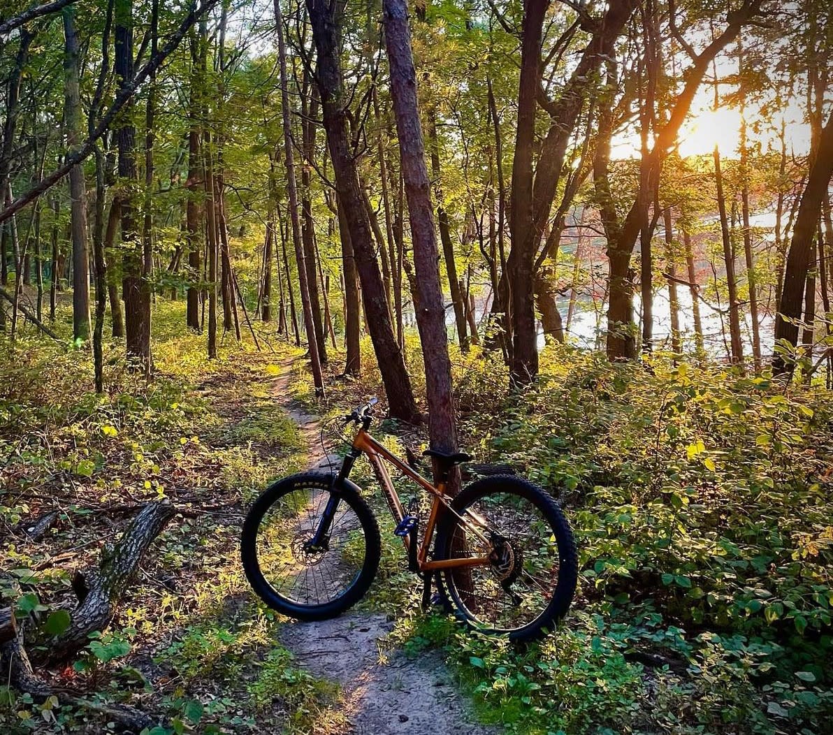 Bike resting against a tree with a sunset in the background peeking through the trees.