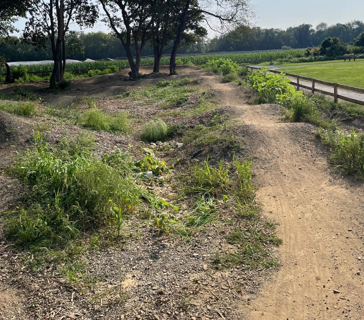 Carlisle Pumptrack