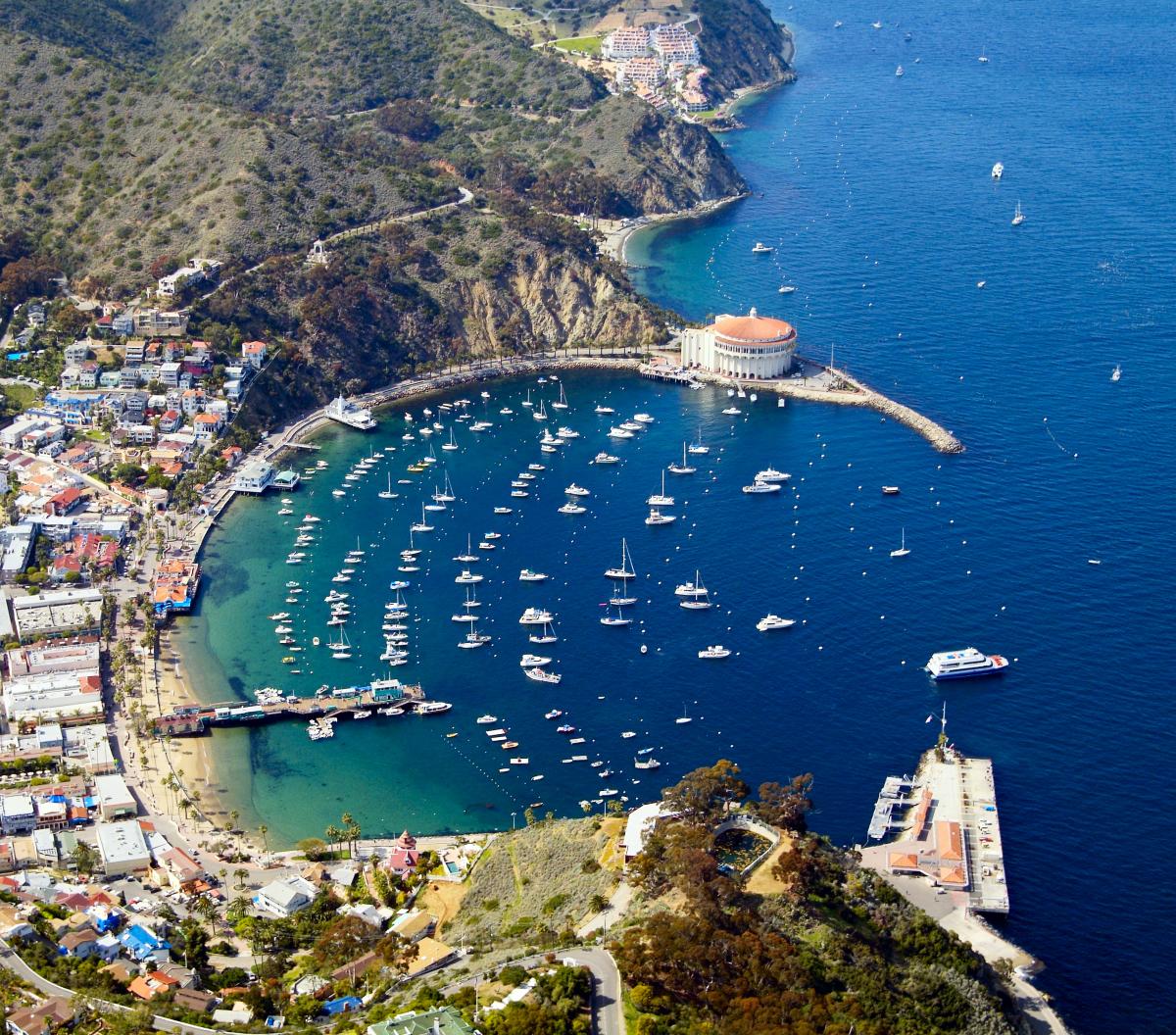 Avalon_Aerial_3 (1).jpg