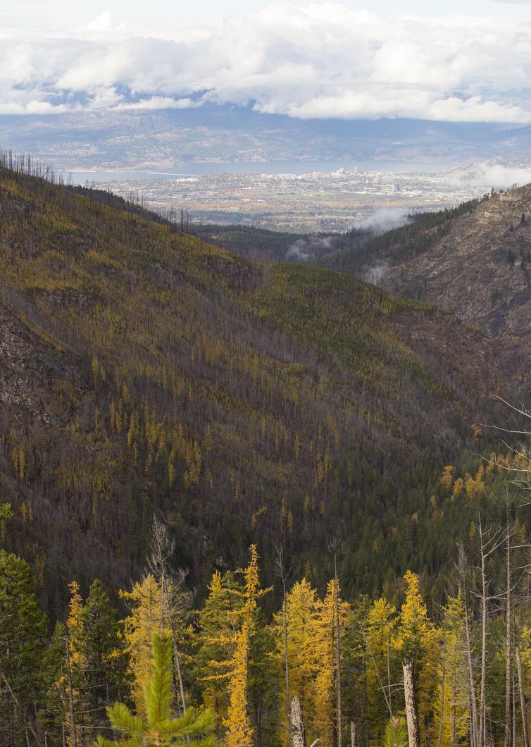 Kelowna from Above