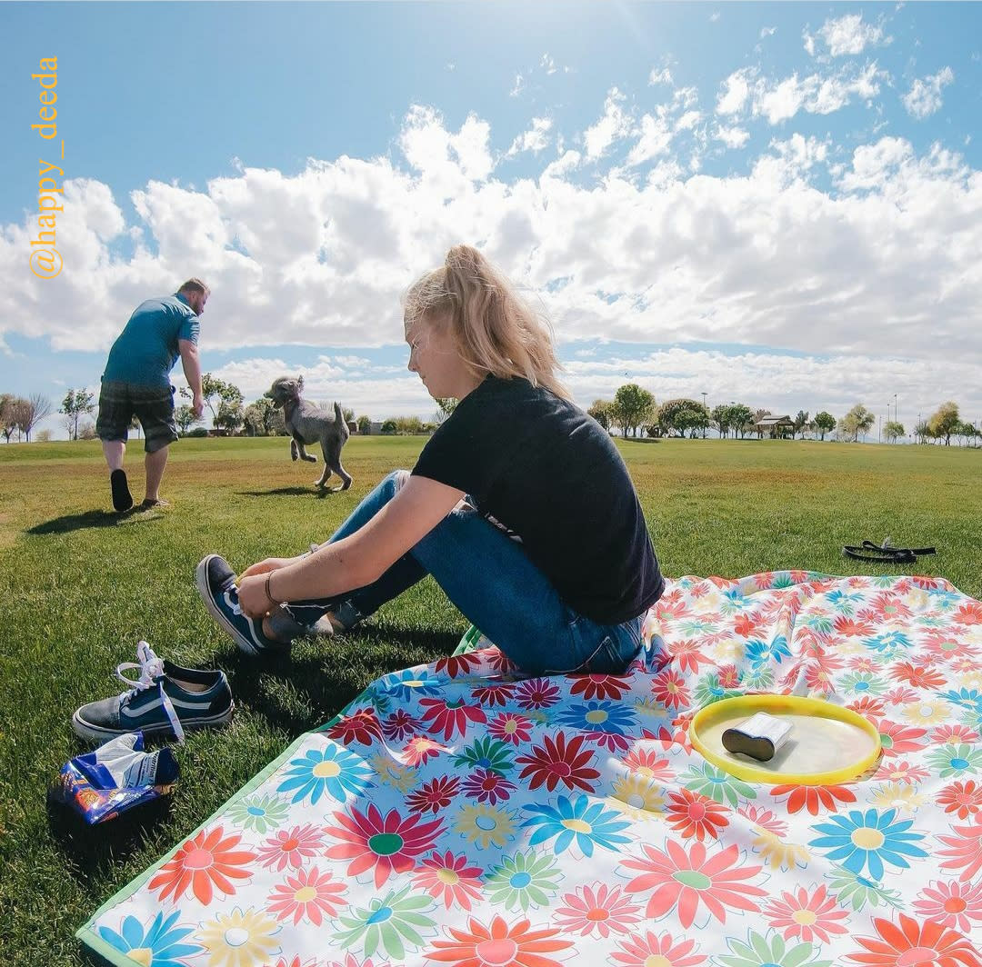 Best Spots For A Picnic In Chandler Arizona By shooting during the week we avoid the crowds and parking, and you get something fabulous added to your gallery of senior pictures! a picnic in chandler arizona