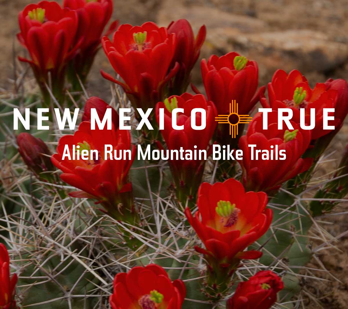 Alien Run Mountain Bike Trails