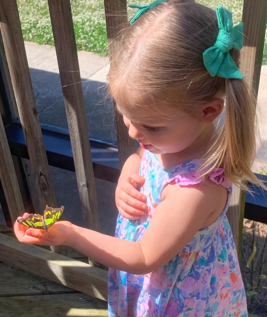 Purdy Butterfly House - Huntsville Botanical Garden
