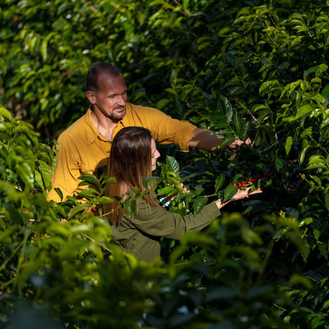finca-lerida-boquete