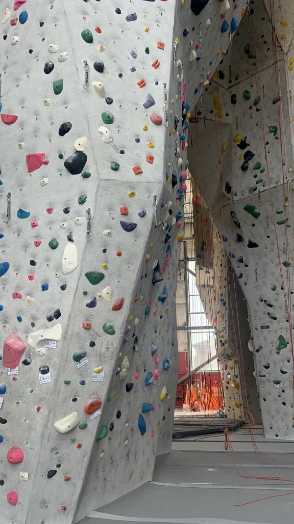 MetalMark Climbing