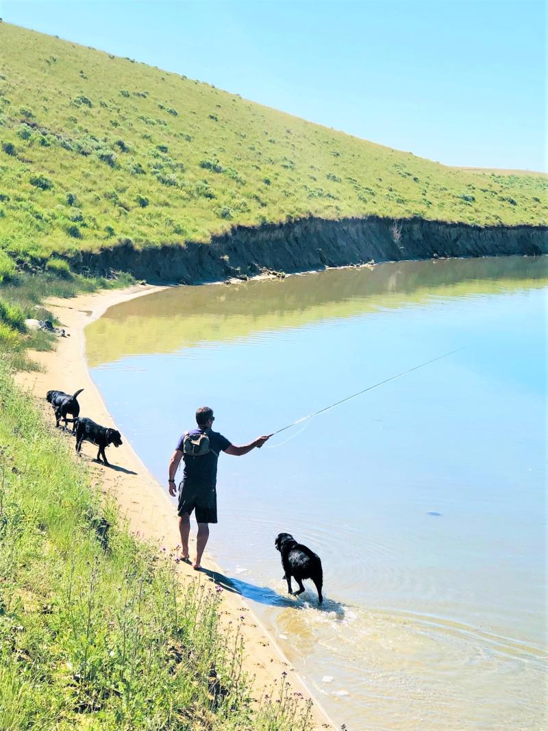Fishing with dogs