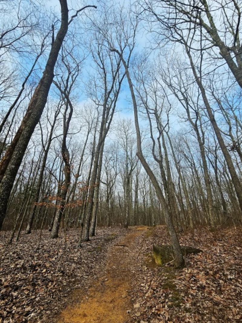Monte Sano State Park