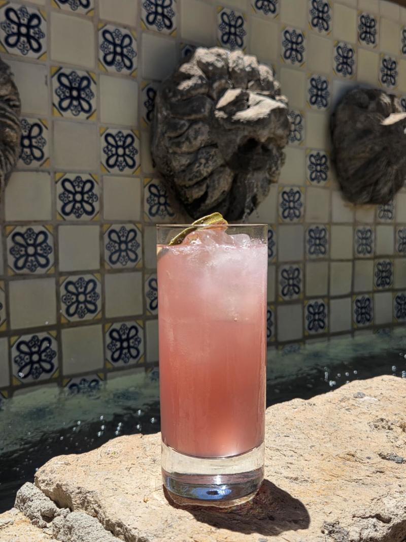 Cactus Kiss from Royal Palms