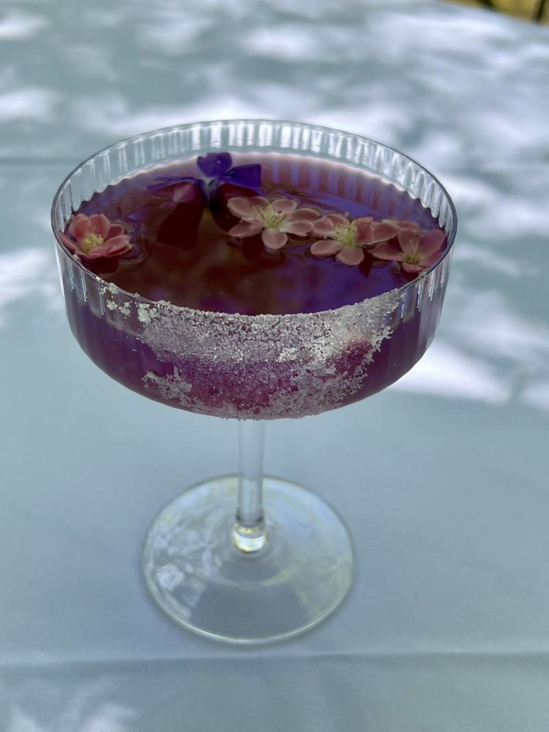 Desert Bloom from Cress Bar at L'Auberge de Sedona