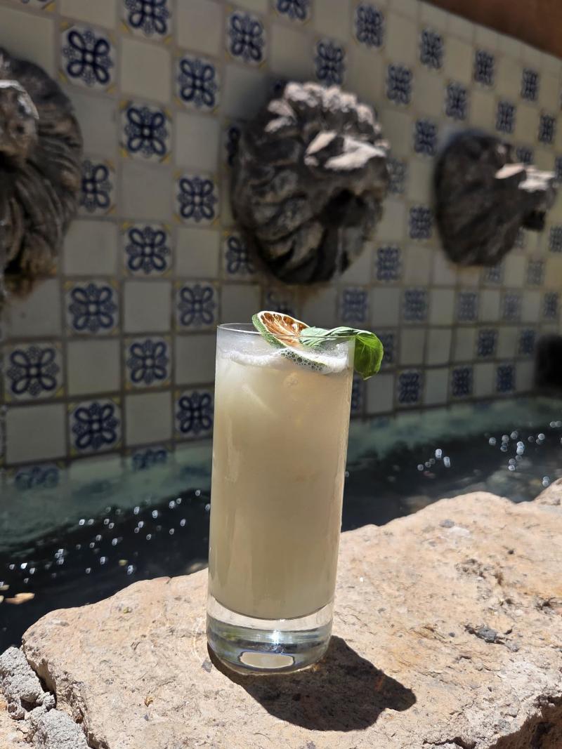 Island Alchemist from Royal Palms