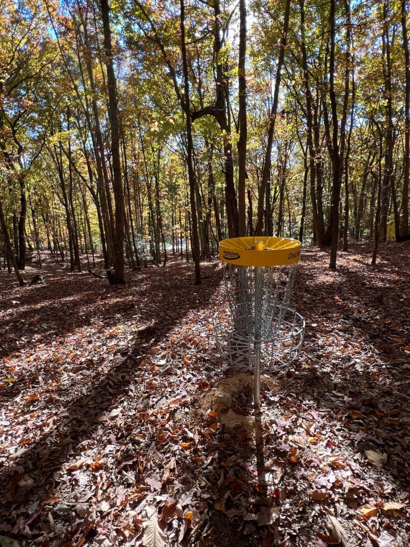 Forest Green Disc Golf Basket