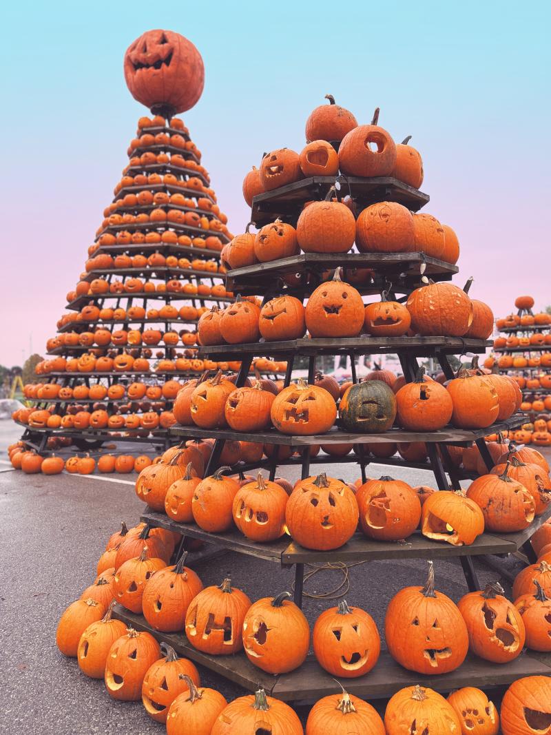 Pumpkin Fest