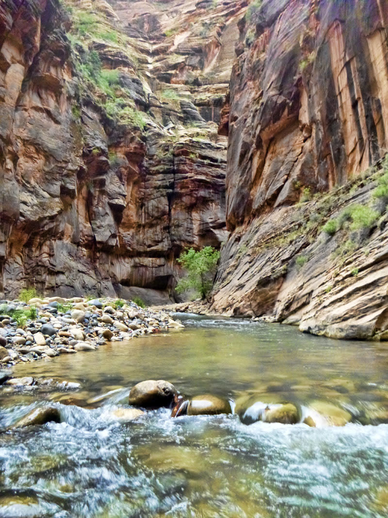 Zion Virgin River Narrows Hiking