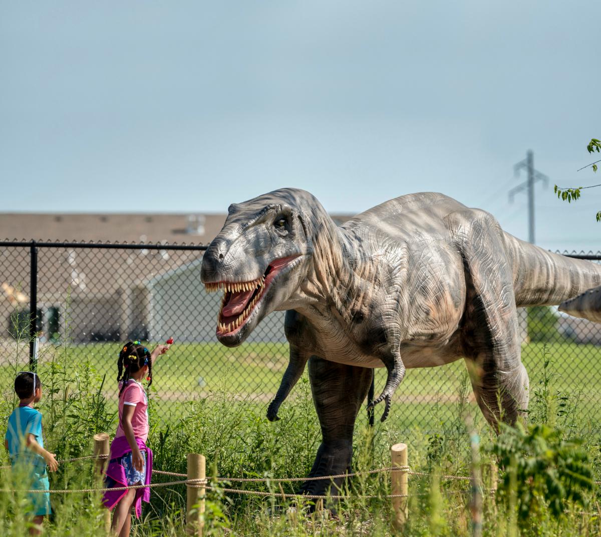 Field Station Dino_Doug Stremel