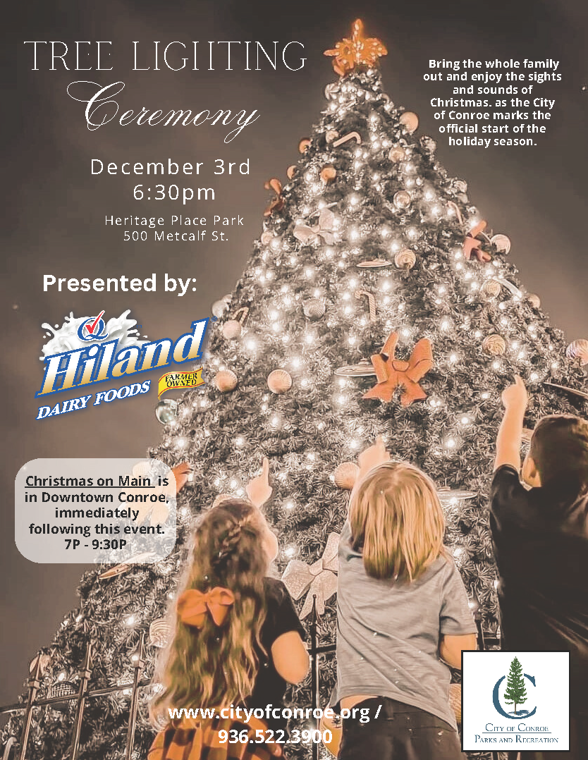Tree Lighting 2024
