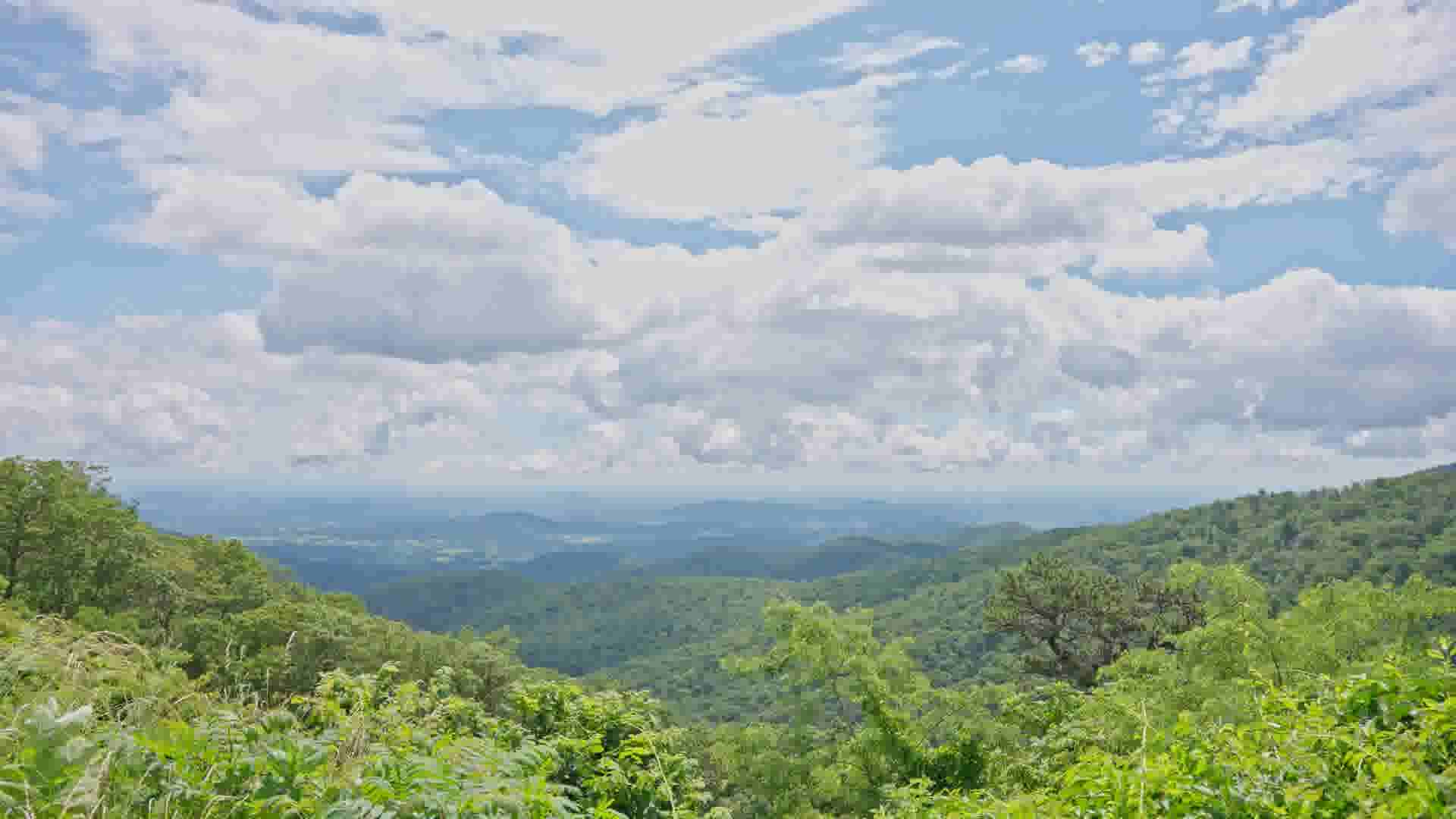 Spring in Page Valley, VA