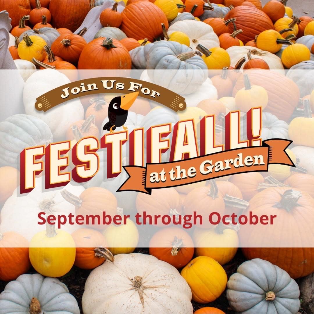 festifall at botanical garden