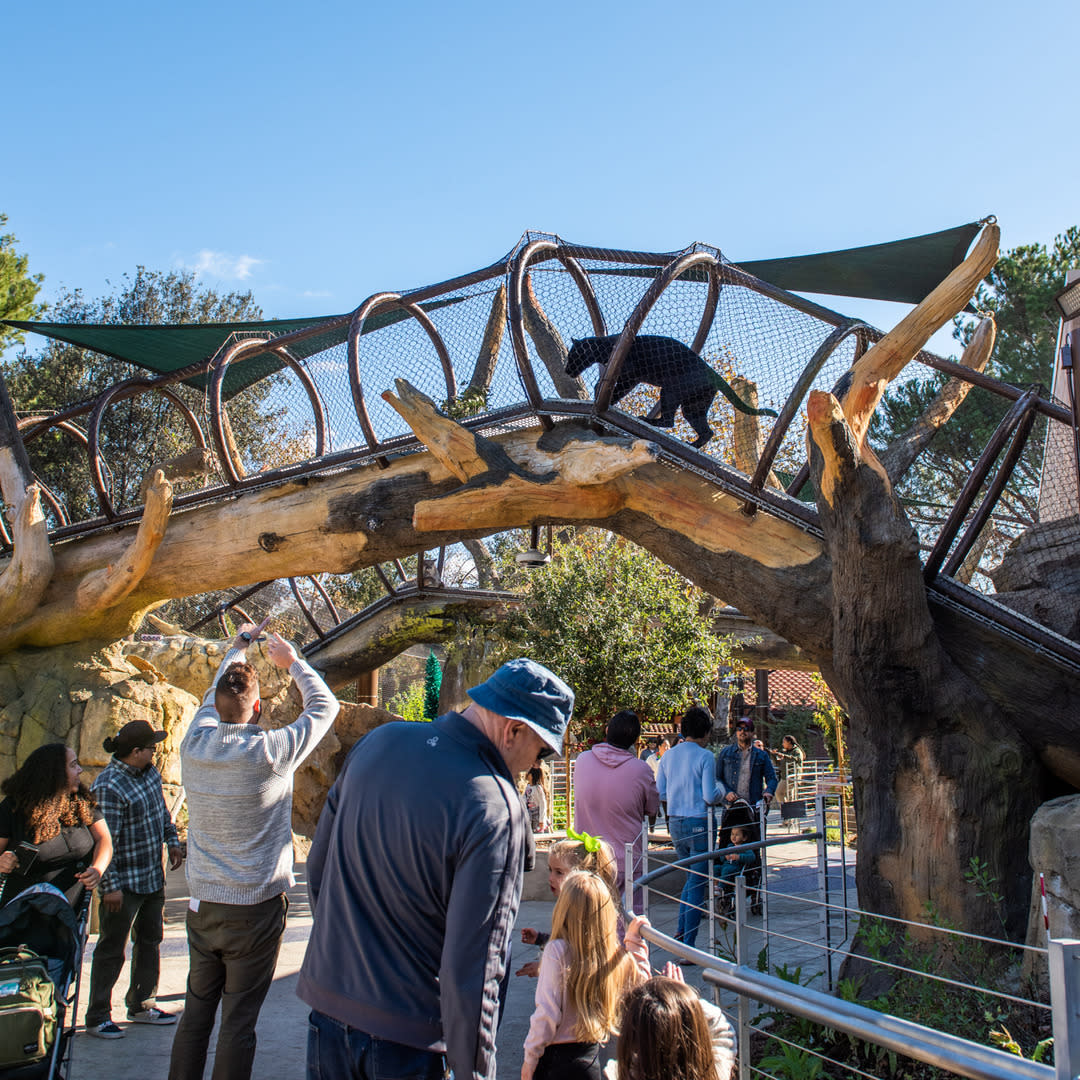 Family Freindly things to do in OC, OC Zoo, Near Anaheim Top things to do