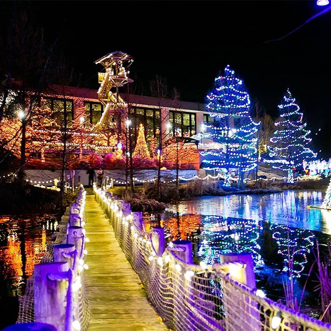 Walkway lighted up for Christmas leading to more holiday lights at the Creation Museum