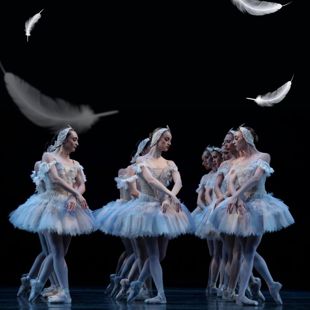 swan lake