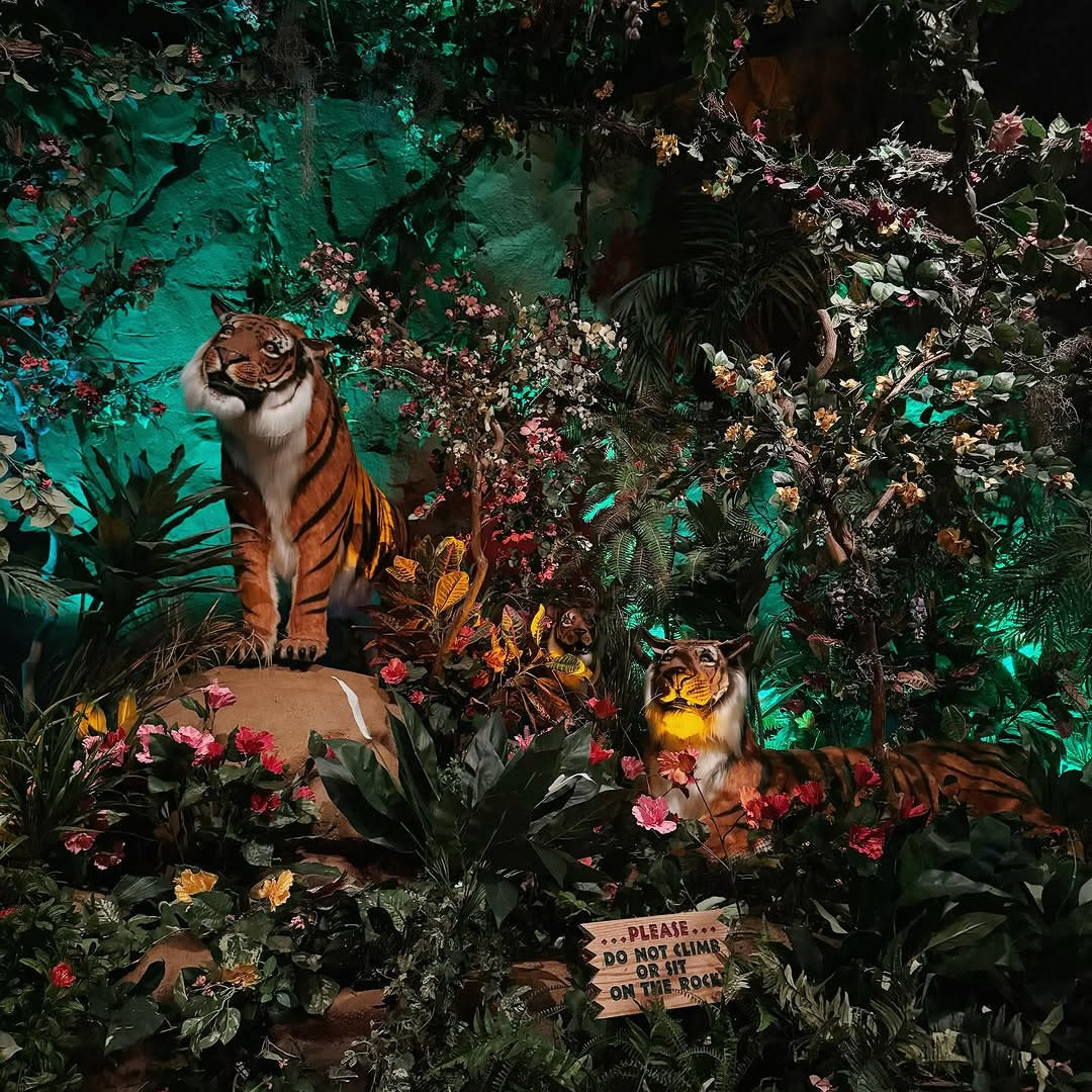 Rainforest Cafe