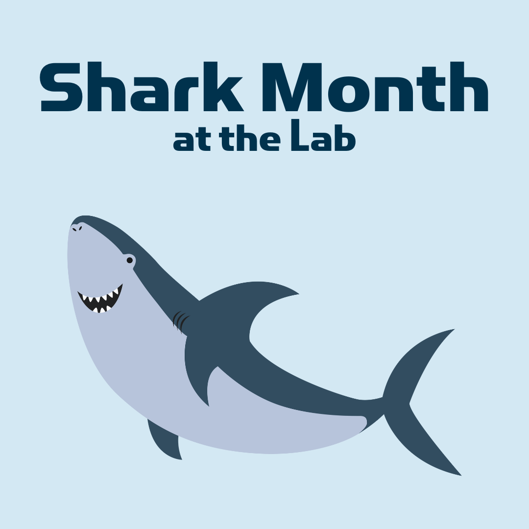 Shark Month - 2024 - Children's Science Center Lab